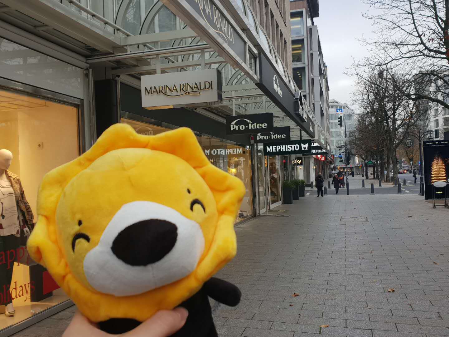 黑五期间畅游世界？这只苏宁国际的小狮子买手做到了