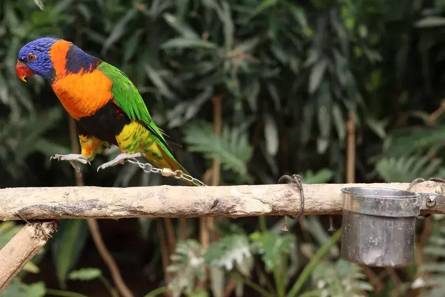 最近新出的性价比高的相机,近三年新发布的相机