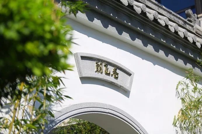 两年业绩对比图表,两年业绩对比柱状图