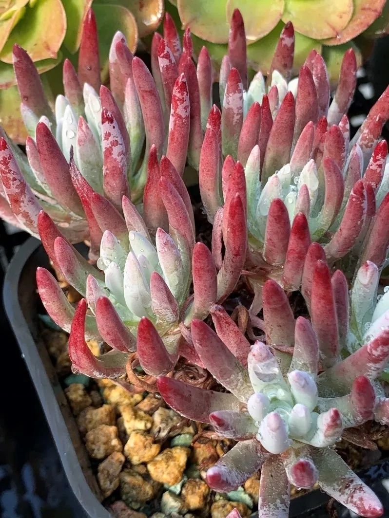 禁足的日子收获颇多,禁足