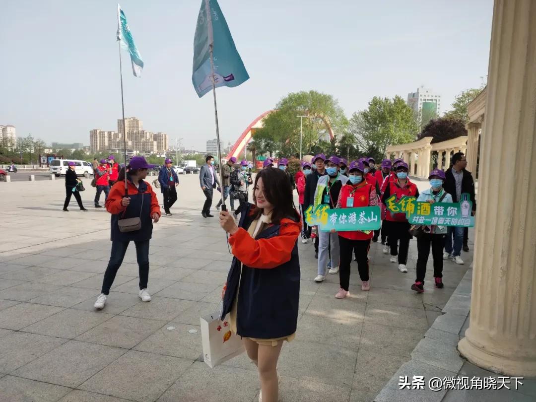 带你看看信阳的茶山美景,信阳浉河茶山直播