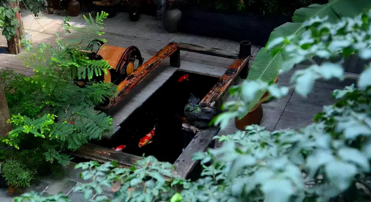 建鱼池要注意哪些细节,新建鱼池问题