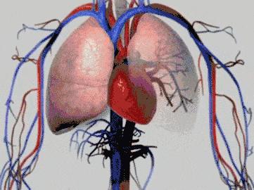 院士们怒了：别再说这几句鬼话，来骗中国人了！