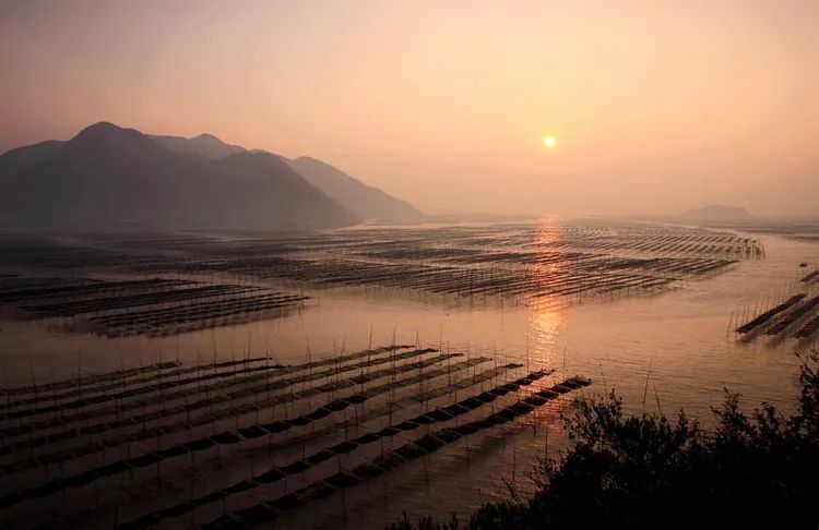 日出要怎么拍,手机拍日出的技巧