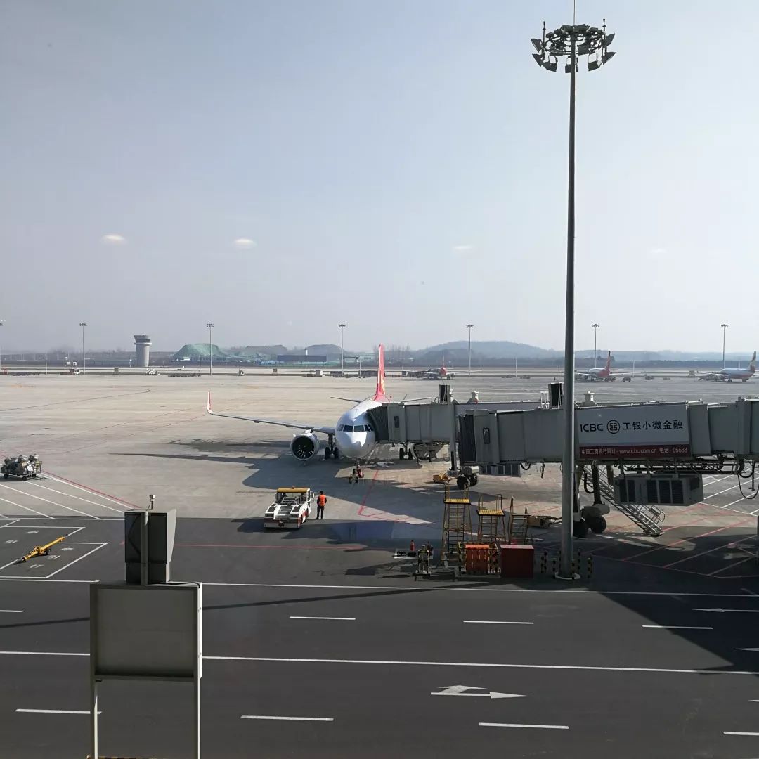 请回答郑州青年,请回答1988完整视频