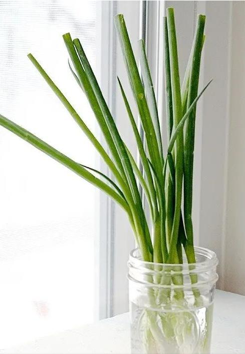 香蕉放冰箱里保鲜可以吗,把香蕉放在冰箱里冻好吗