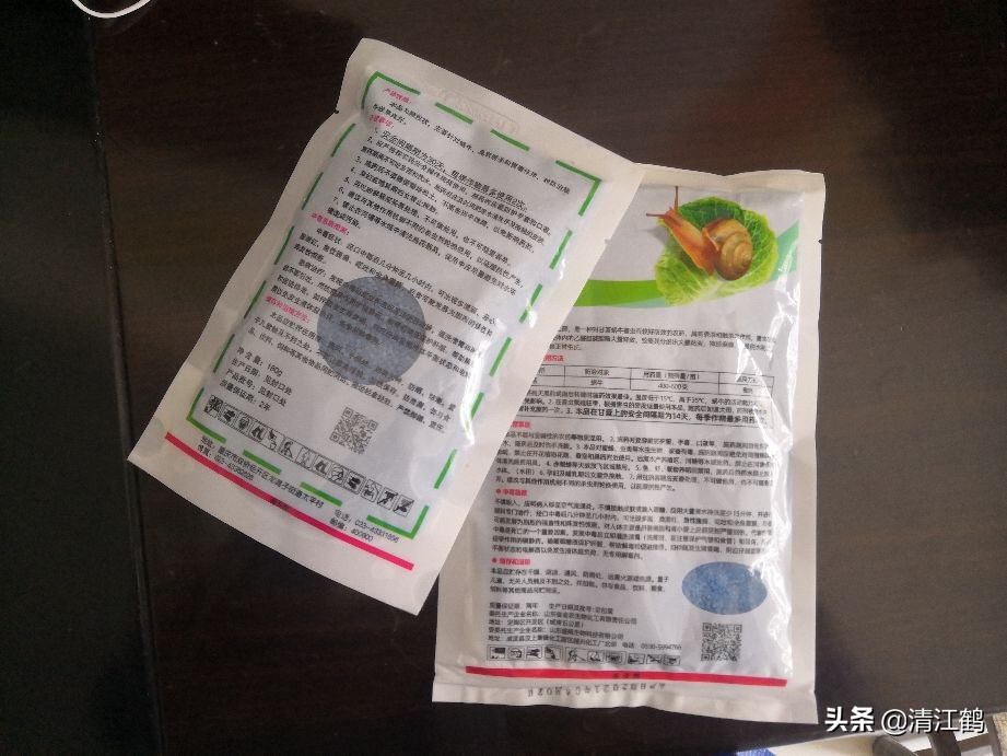 蜗牛吃菜用什么药消灭它,蔬菜上蜗牛用什么药才能杀灭