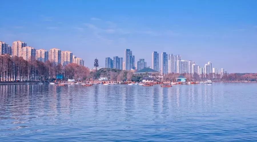 武汉哪个区域租房性价比高,武汉哪个区的房子租得最便宜