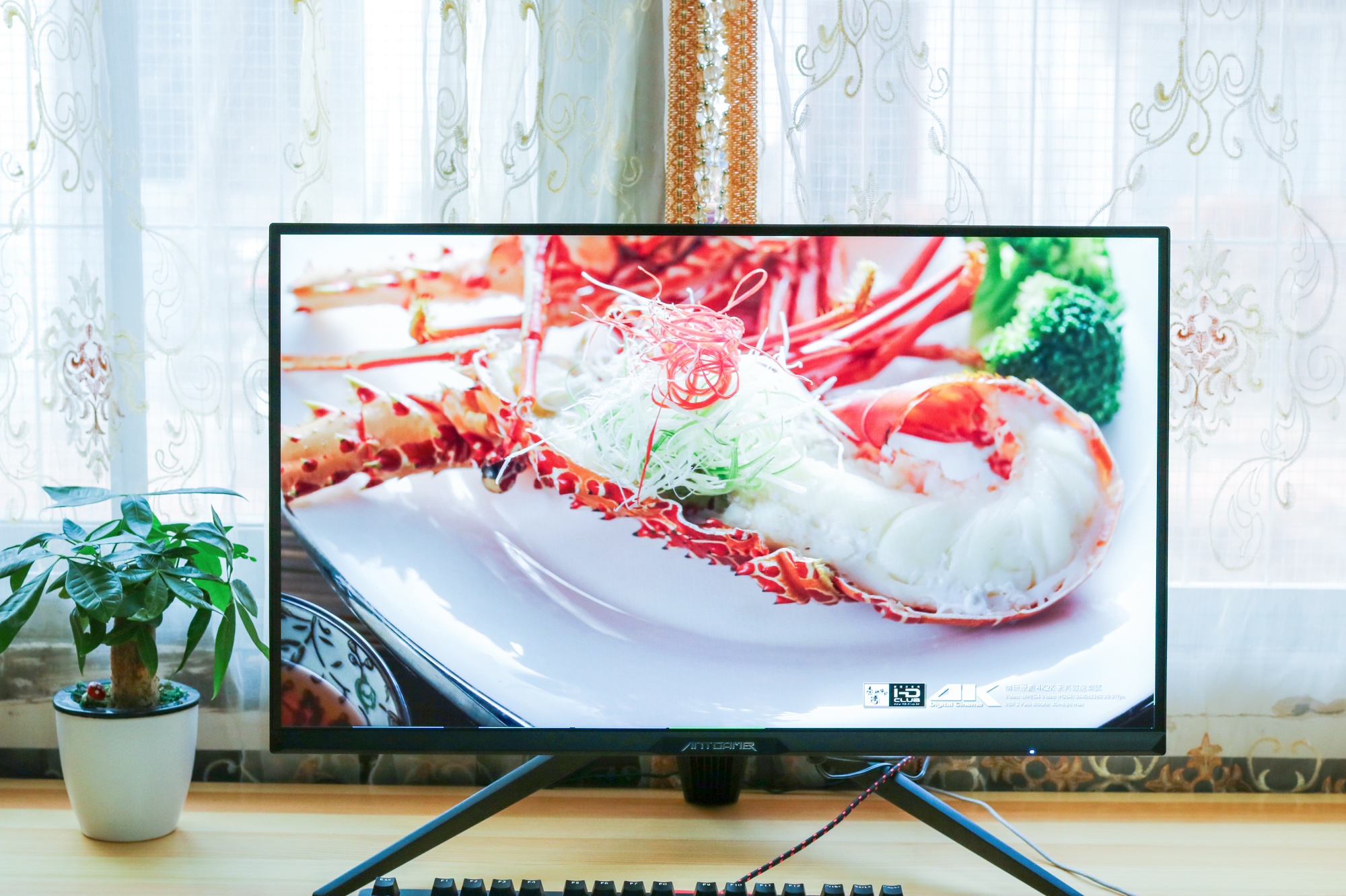 蚂蚁电竞ant27tqc,蚂蚁电竞ant27vq测评