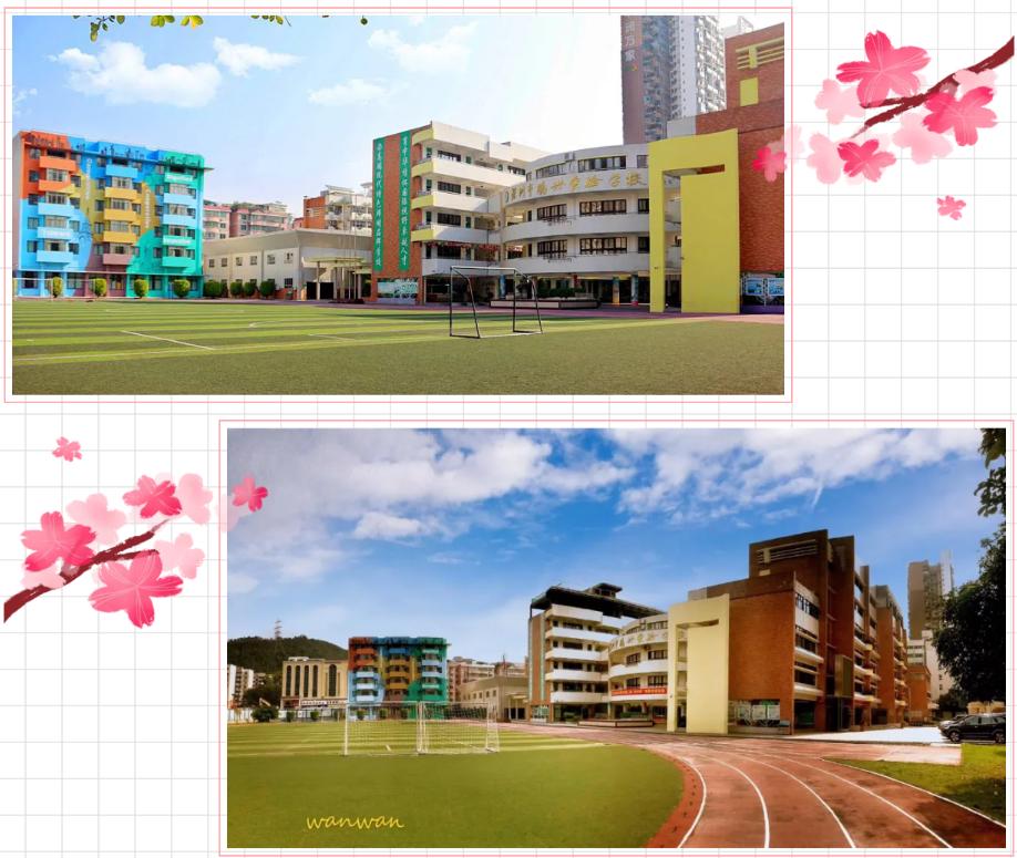 深圳罗湖四大名校初中,罗湖区第6学区哪些小学好