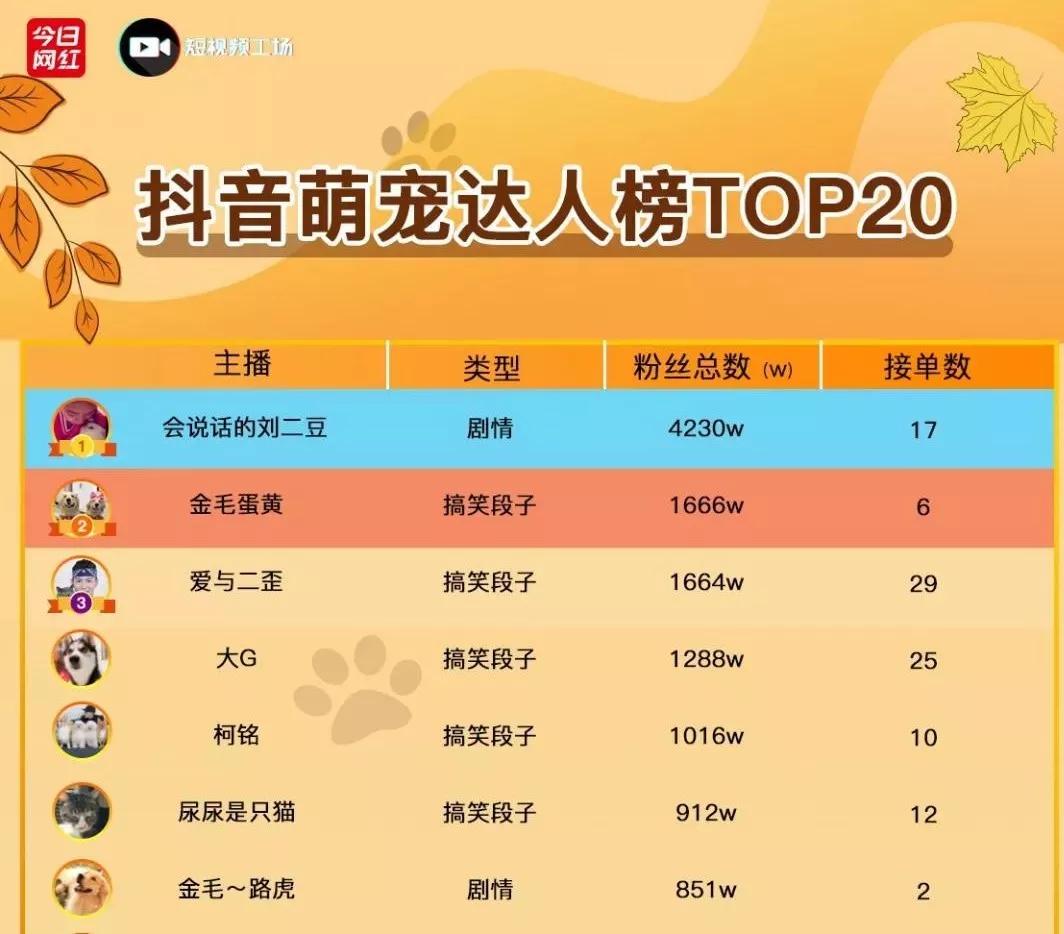 今榜专访｜霸道总裁抖音撸猫吸粉1600万，只是因为长的帅吗？