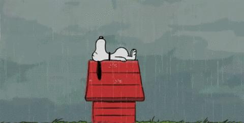 回南天潮湿怎么抽湿,回南天湿漉漉怎么办