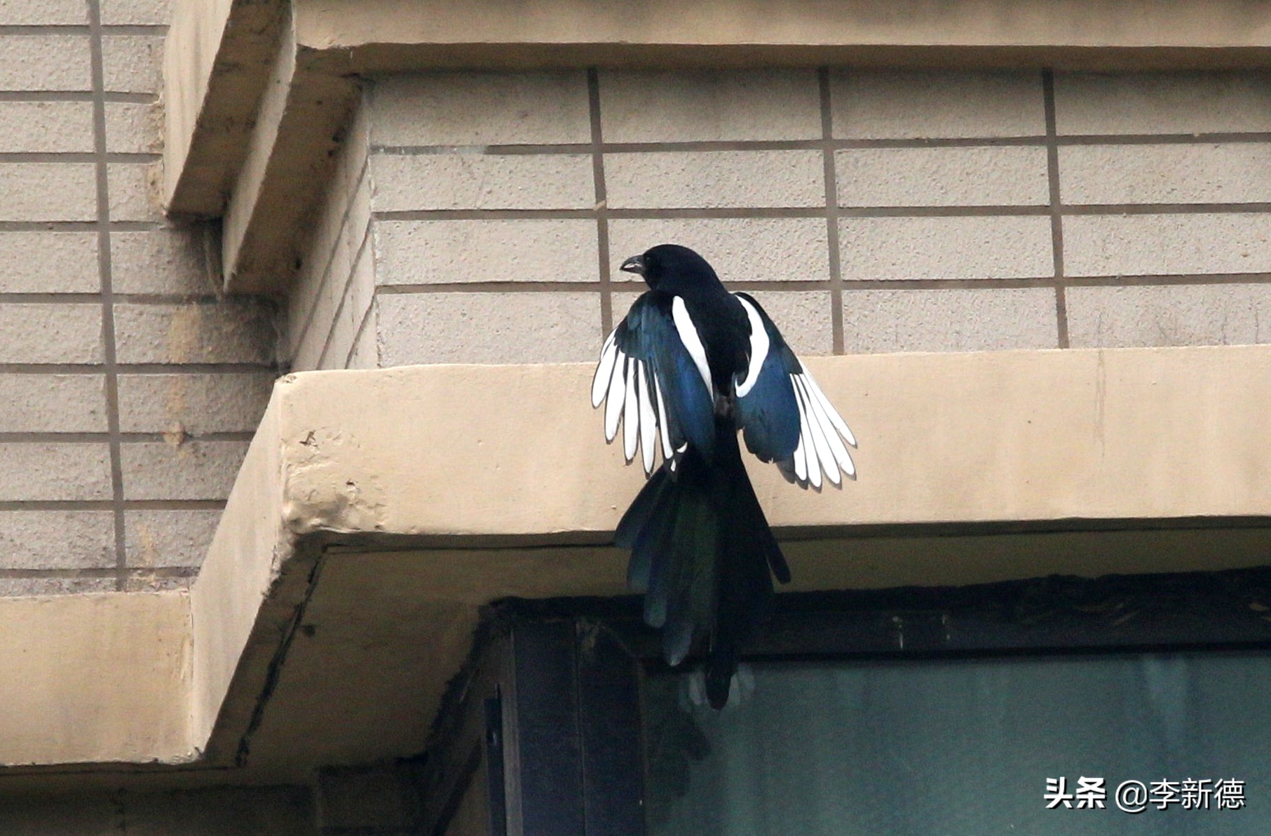 佳能相机5d3拍视频用哪个档位,佳能5d3适马2470