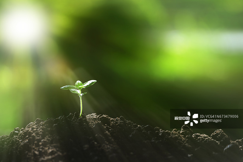 应时空美食，享健康美味