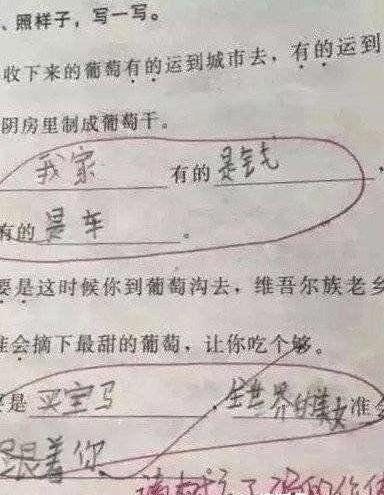 孩子懒的最高境界造句,儿童懒式造句火了