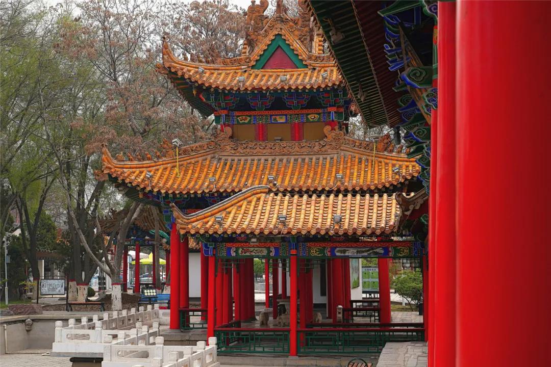 宁夏银川街心公园,银川兴庆区宁园门票多少