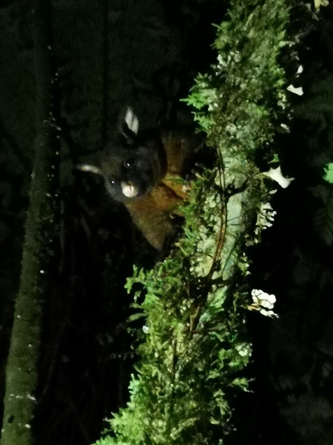 让你不出国就可以拍出欧洲即视感,让你不出家门就能看到江南的美景