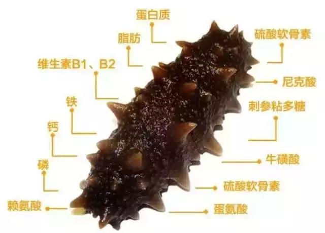 开水发海参营养会不会流失,海参煮60分钟会营养流失吗