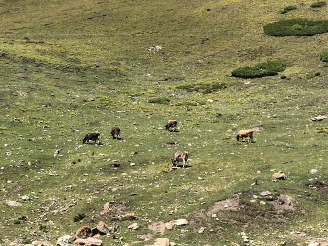 一家四口暑假日常之去游乐场,暑期全家一起大东北出游超欢乐