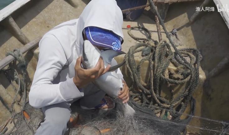 为何年轻人都在沉迷赶海视频,为什么大家都爱看赶海