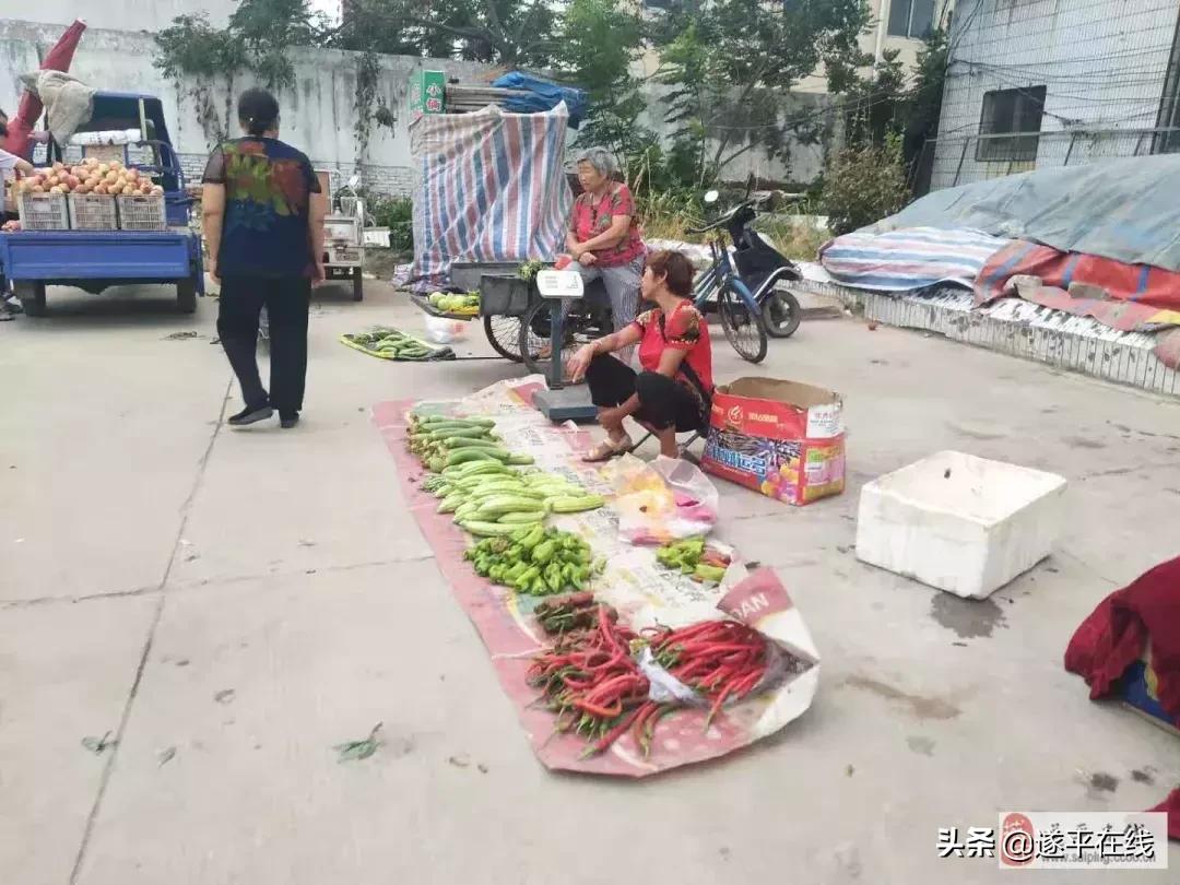 遂平县各大农贸菜市场,图说遂平清晨的菜市场
