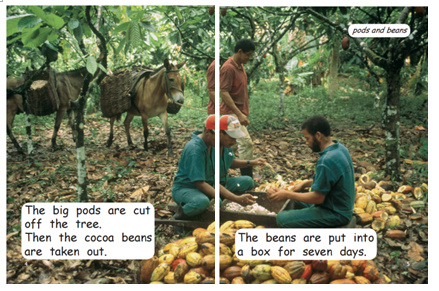 红火箭分级阅读科普,红火箭分级阅读有视频吗