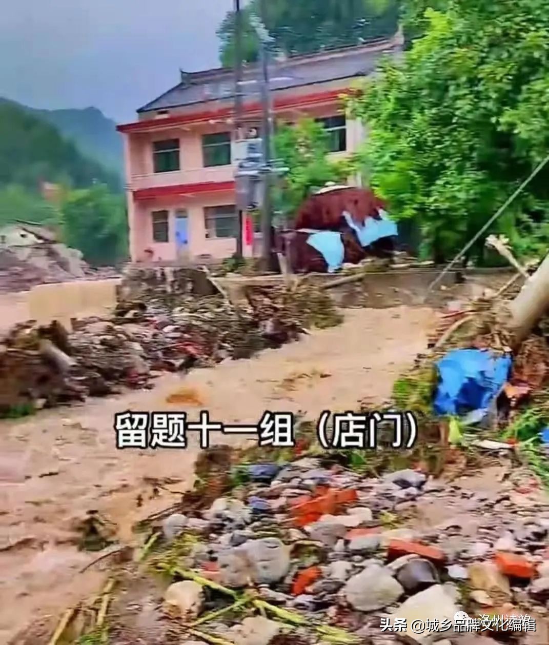 《洛州诗韵》抗洪救灾专辑