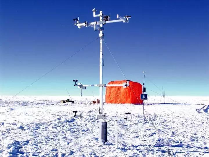 极寒南极企鹅生存,南极科考人员偶遇企鹅