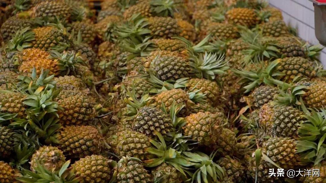 广州市水果市场热闹吗,广州市场有什么水果