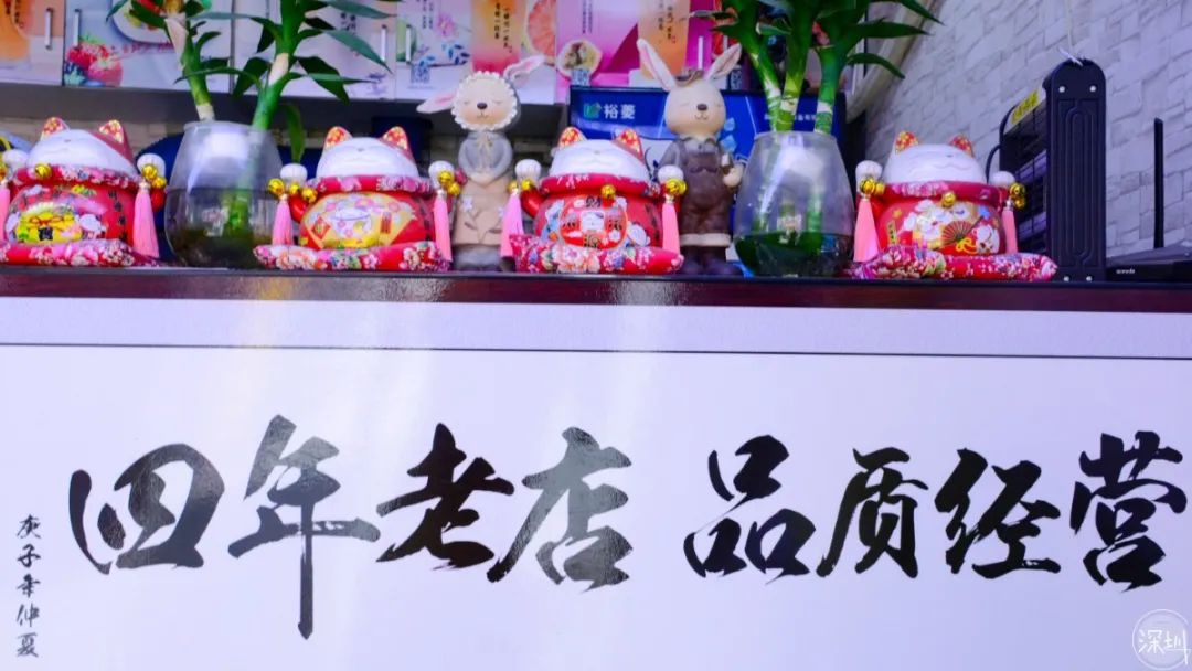 固戍怎么样,固戍为什么这么强