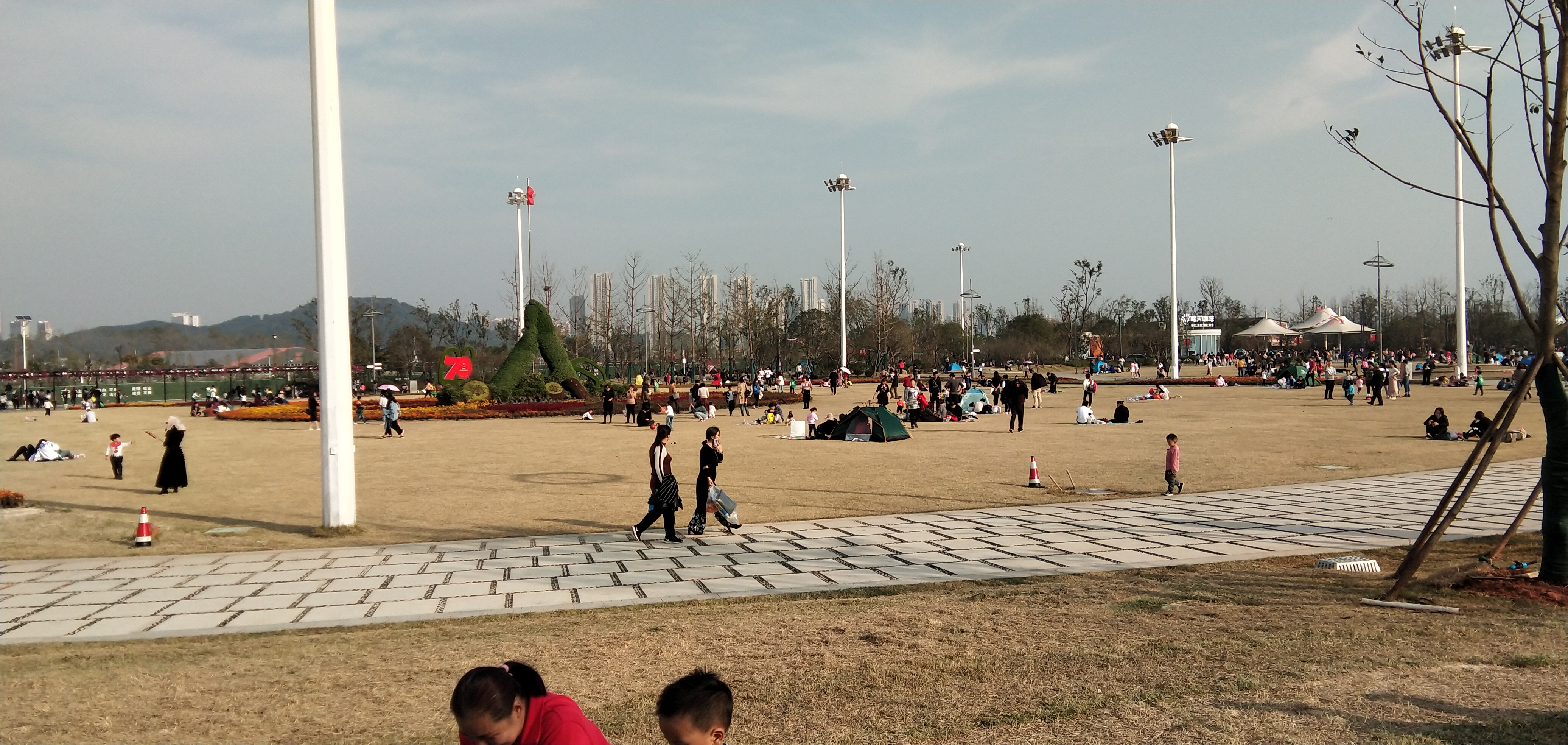 湖南长沙月亮岛公园,长沙月亮岛花海公园