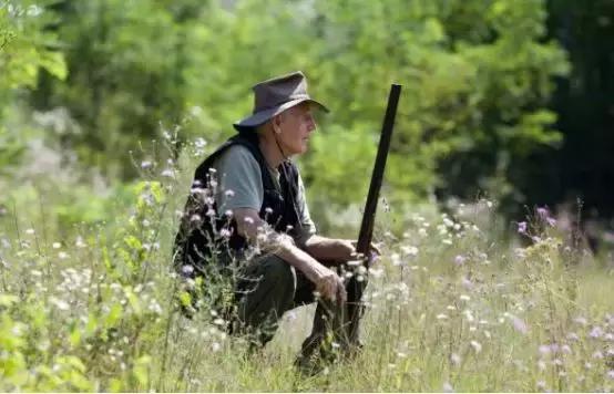 南回归线附近的里约热内卢也有热带雨林?差点以为上了门假地理课