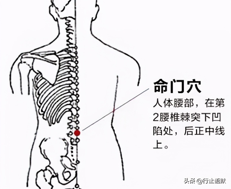 人体期门穴准确的位置,人体郄门穴位置