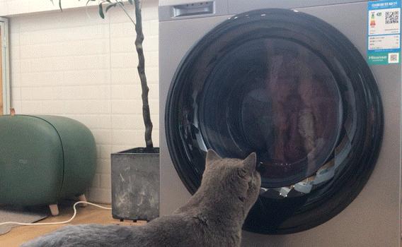 内衣裤专用洗衣机鸡肋,鸡肋的衣服收纳神器