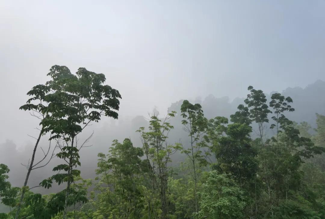 昔逐红尘千里归,昔逐红尘千里归出自哪里