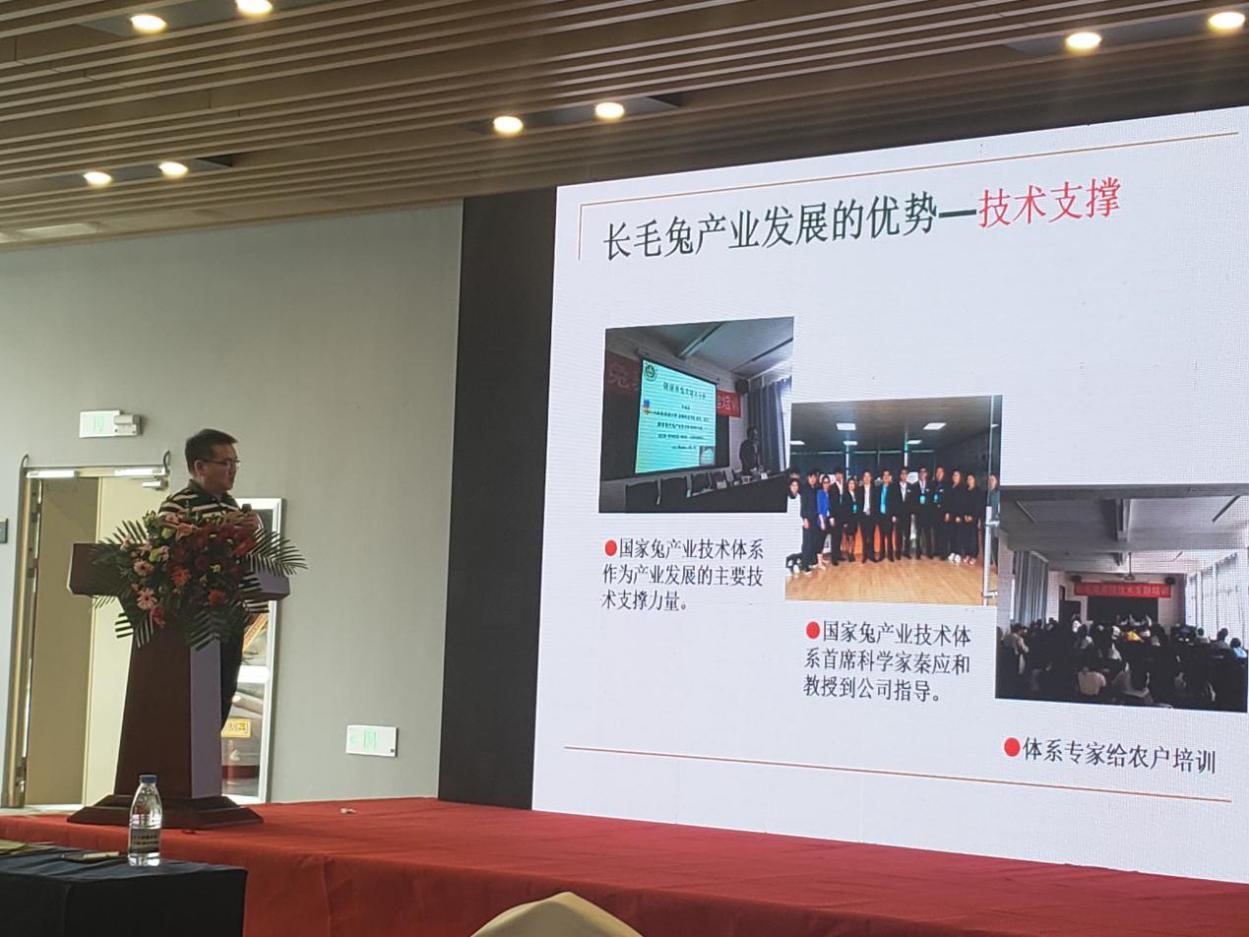 兔业养殖创业,兔业创业