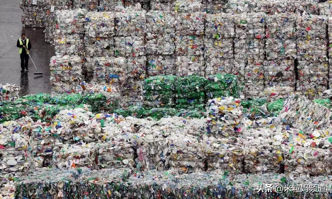 全国人民看江浙沪,上海垃圾分类现在怎样了