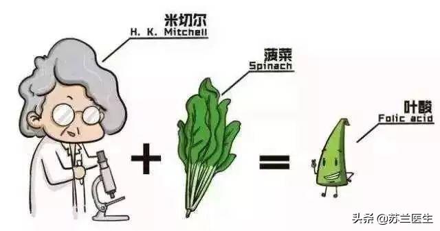 怀孕10周补充叶酸来得及吗,怀孕初期可以用爱乐维补充叶酸吗