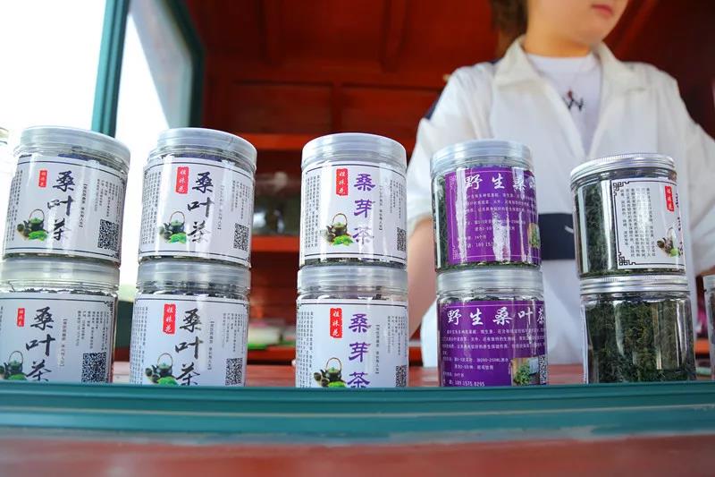 八方游客齐聚桑果紫酒节，共赴这场采桑品酿盛会