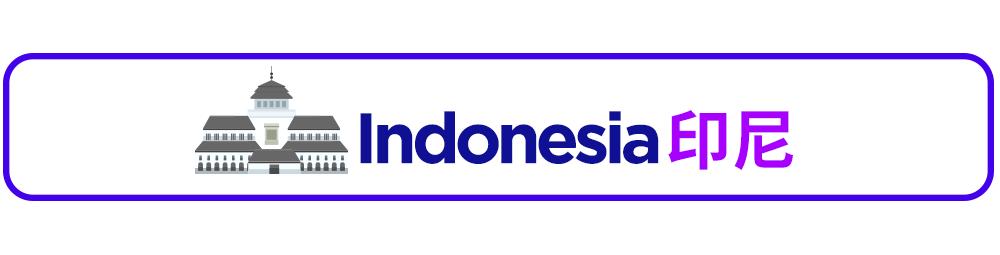 东南亚卖电子产品,东南亚什么电子产品比较畅销