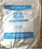 福建草莓露天种植全过程,山东露天草莓种植时间