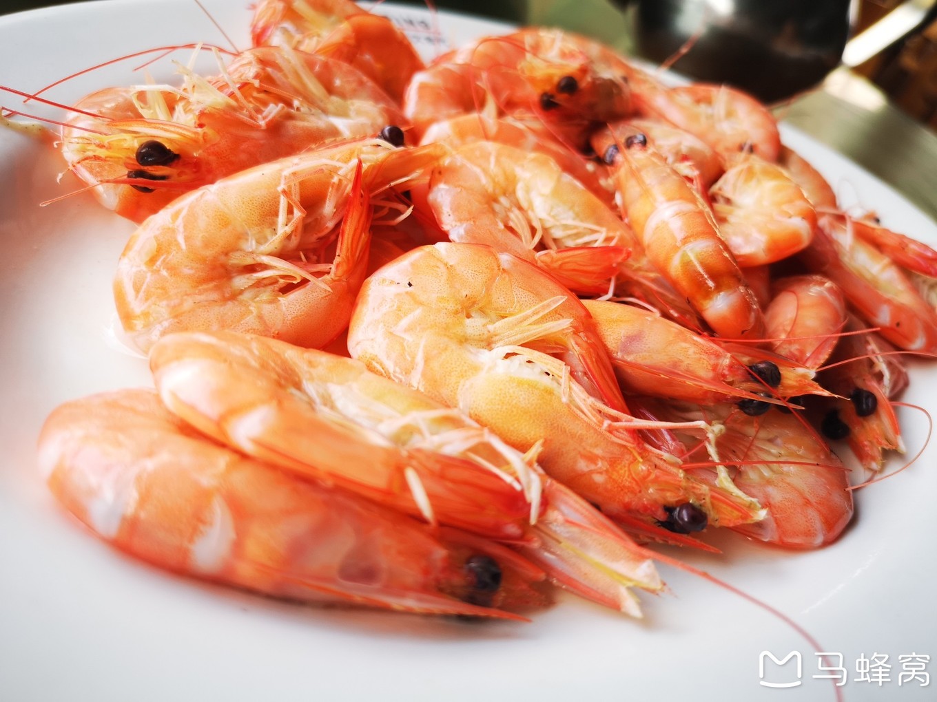 三亚夏天的海和冬天的海,三亚冬天如夏