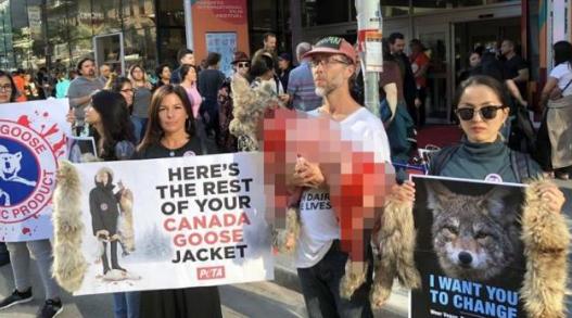 为啥国产羽绒服卖不过加拿大鹅,国产羽绒服凭什么这么贵