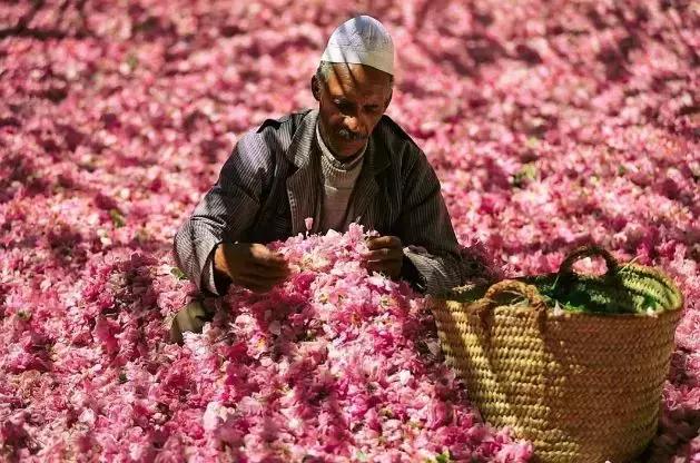 物价便宜又免签的国家,中国免签国家哪里的物价最便宜
