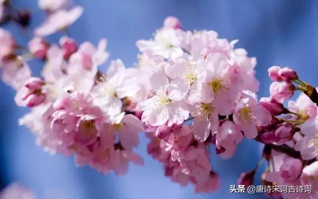 颠覆认知的古诗,颠覆认知脑洞大开的语句