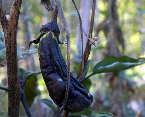 国足该不该骂,国足说我们也想赢的是谁