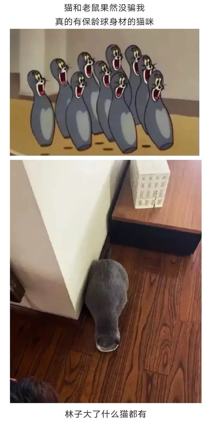 嫂子打羽毛球的视频,嫂子打羽毛球完整视频