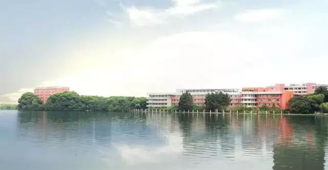 武汉32所重点小学大pk,武汉市十大美丽中学