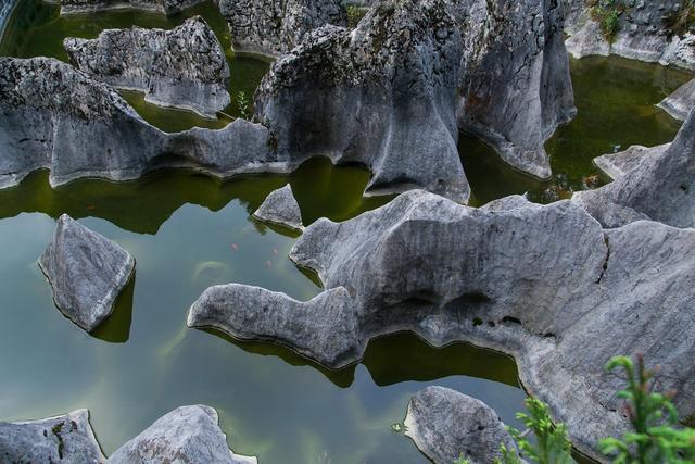 小平故里广安风景,小平故里到华蓥山有多远