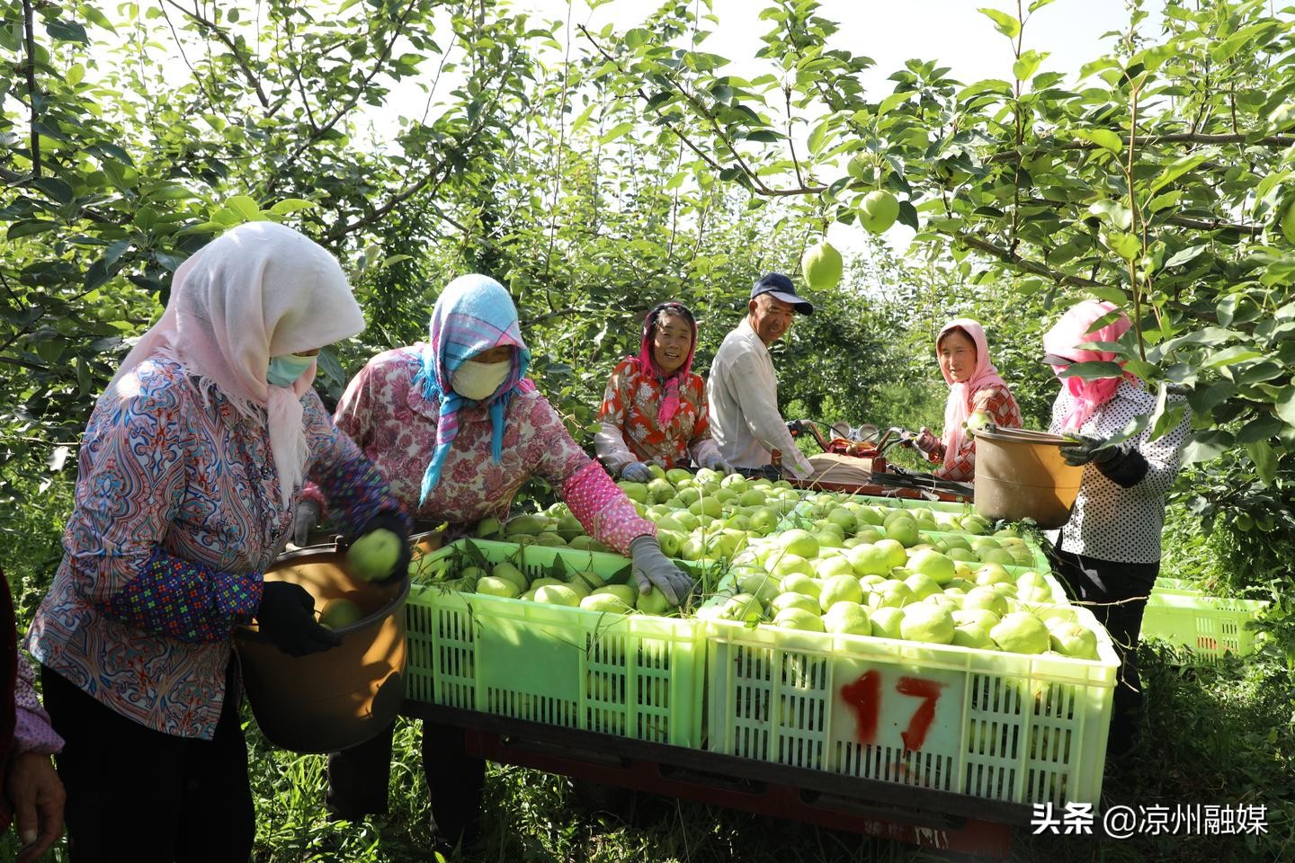汇聚磅礴力量彰显使命担当——奋力开创凉州经济社会高质量发展新局面